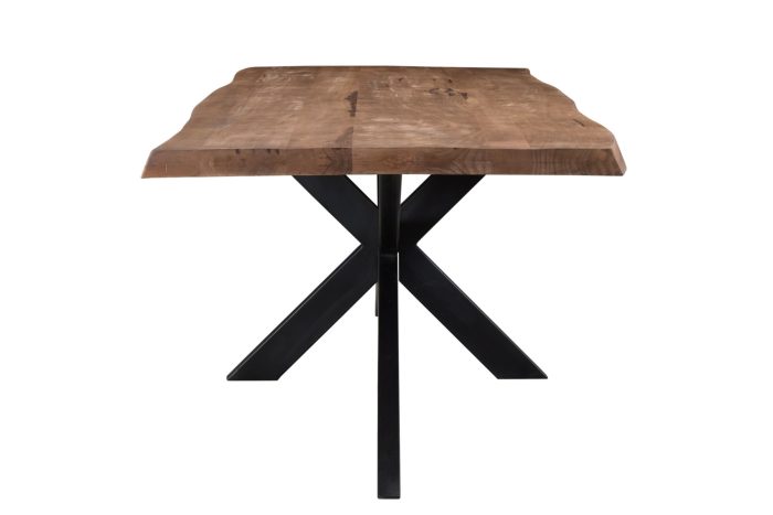 Stevige boomtopspin 160 cm - Afbeelding 3