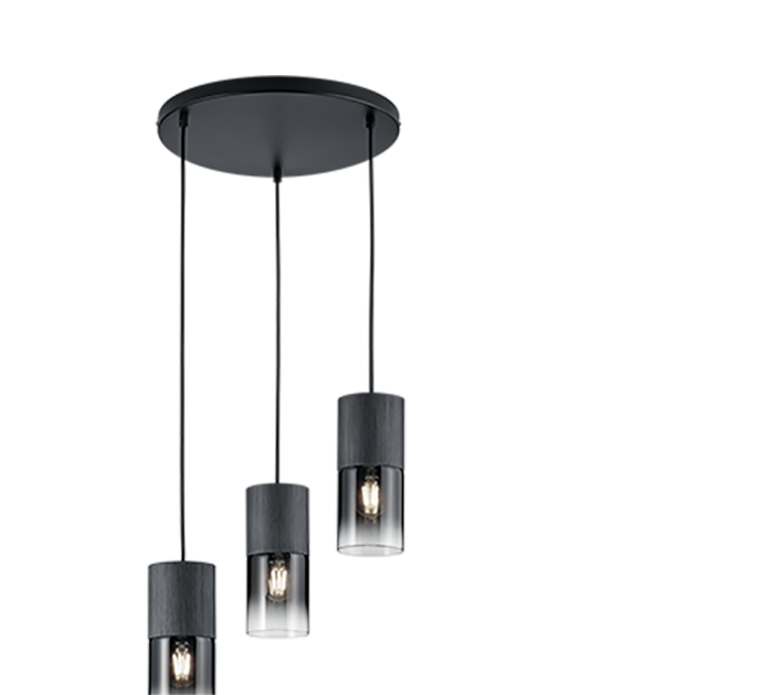 Hanglamp TRIO ROBIN - Afbeelding 1