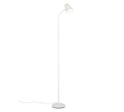Realiteit, Vloerlamp, Pongo