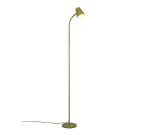 Realiteit, Vloerlamp, Pongo