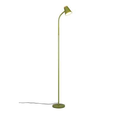 Realiteit, Vloerlamp, Pongo