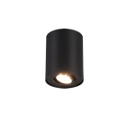 TRIO Plafondlamp COOKIE
