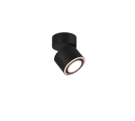 TRIO Plafondlamp TAURUS