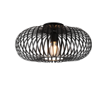 TRIO Plafondlamp JOHANN