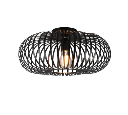 TRIO Plafondlamp JOHANN