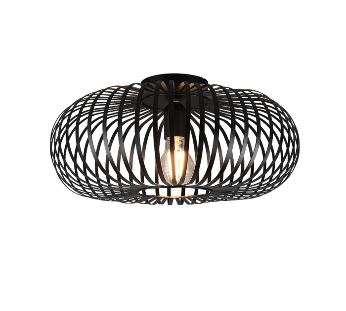 TRIO Plafondlamp JOHANN - Afbeelding 1
