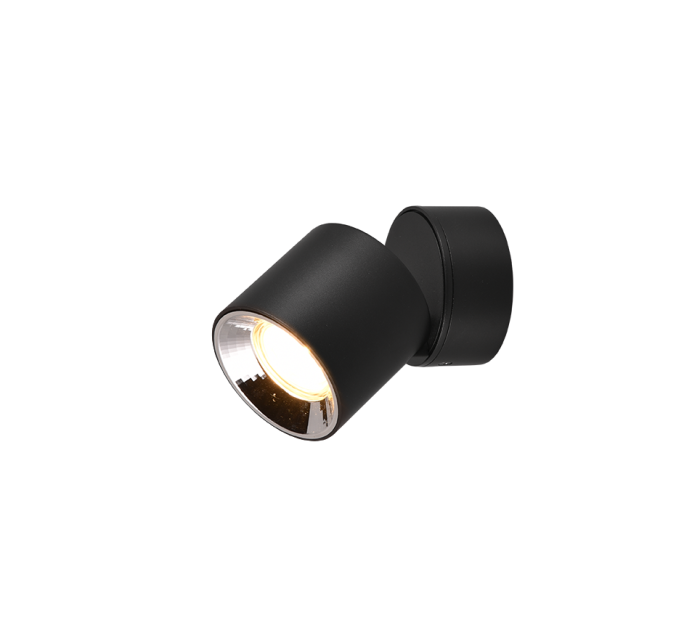 TRIO Plafondlamp GUAYANA - Afbeelding 1
