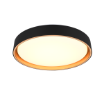 Realiteit, Plafondlamp, FELIS