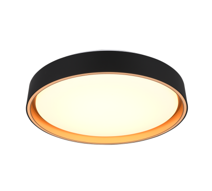 Realiteit, Plafondlamp, FELIS