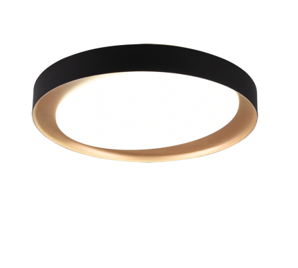 Plafondlamp REALITY ZETA