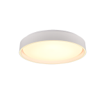 Realiteit, Plafondlamp, Felis