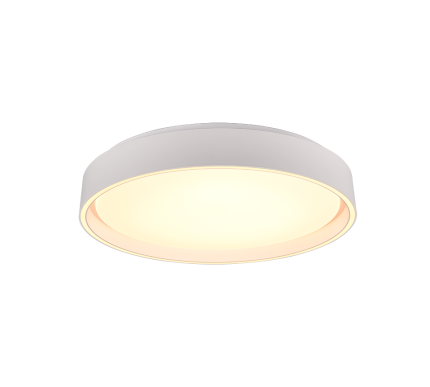 Realiteit, Plafondlamp, Felis