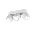 TRIO Plafondlamp TAURUS