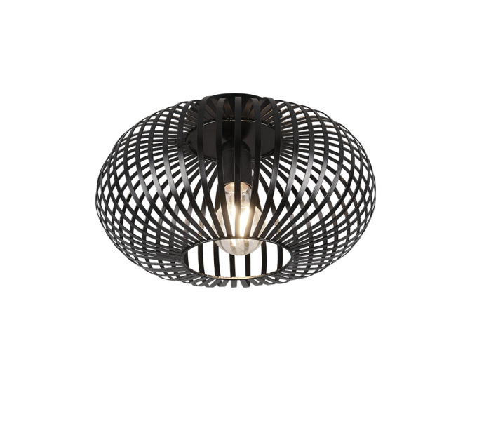 TRIO Plafondlamp JOHANN - Afbeelding 1