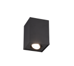TRIO Plafondlamp BISCUIT