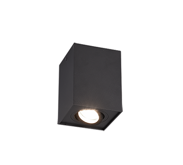 TRIO Plafondlamp BISCUIT - Afbeelding 1