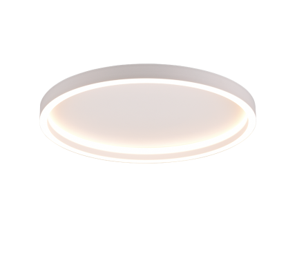 REALITY Plafondlamp ROTONDA