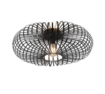 TRIO Plafondlamp JOHANN