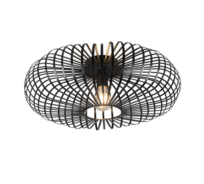 TRIO Plafondlamp JOHANN - Afbeelding 1