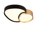 TRIO Plafondlamp RISE