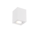 TRIO Plafondlamp BISCUIT