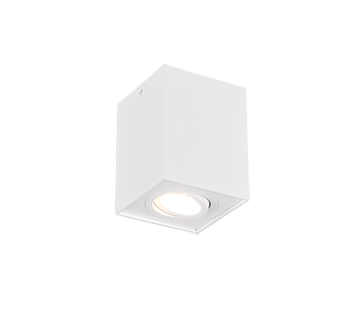 TRIO Plafondlamp BISCUIT - Afbeelding 1