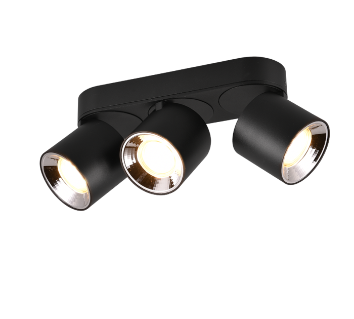 TRIO Plafondlamp GUAYANA - Afbeelding 1