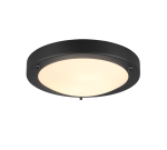TRIO Plafondlamp CONDUS