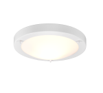 TRIO Plafondlamp CONDUS