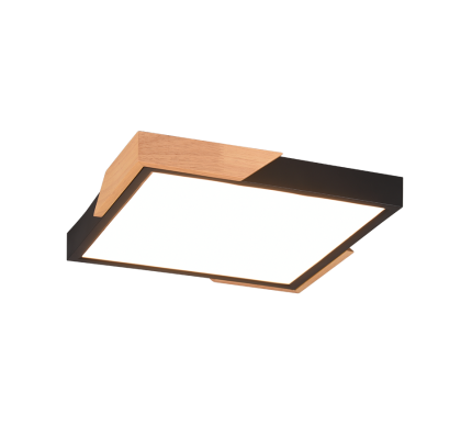 TRIO Plafondlamp HYDRA