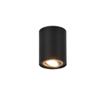 TRIO Plafondlamp COOKIE
