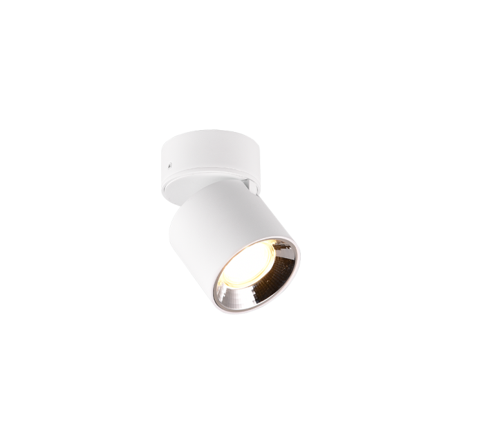 TRIO Plafondlamp GUAYANA - Afbeelding 2