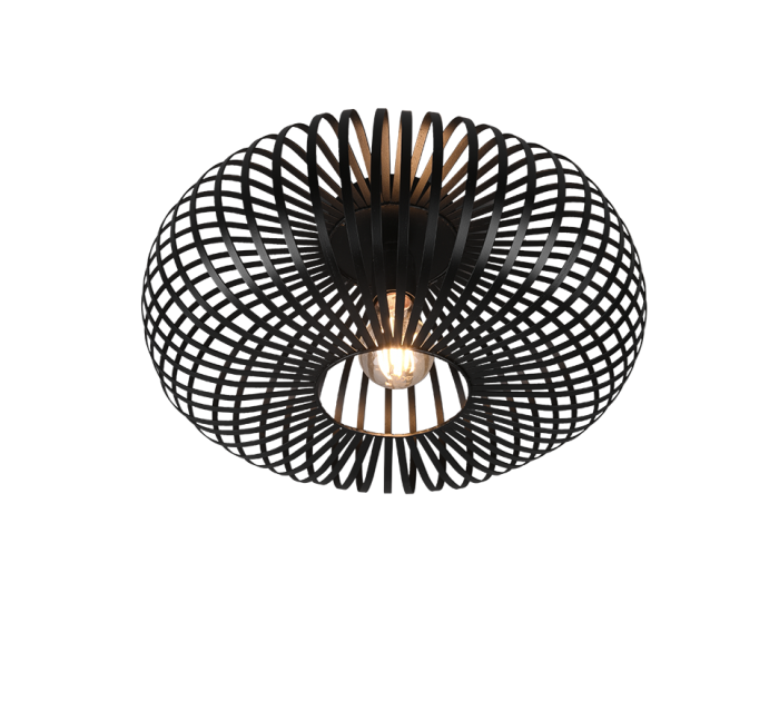 TRIO Plafondlamp JOHANN - Afbeelding 2