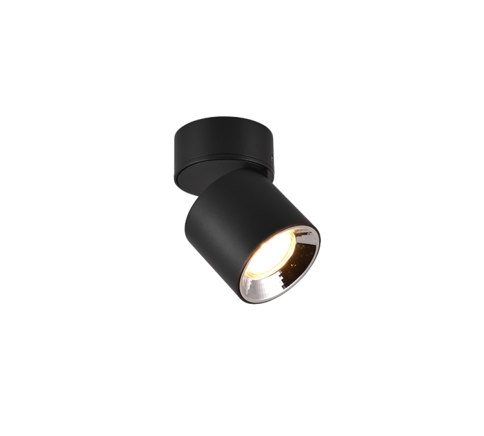 TRIO Plafondlamp GUAYANA - Afbeelding 2