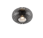 TRIO Plafondlamp JOHANN - Afbeelding 2