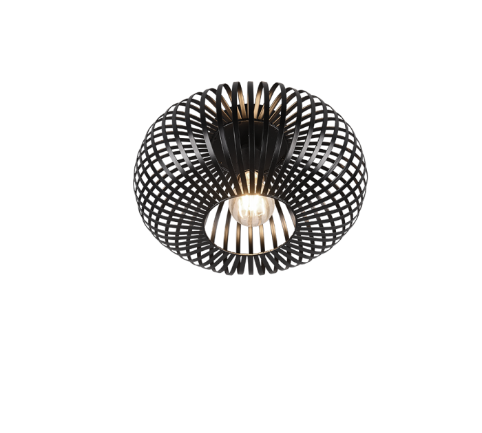 TRIO Plafondlamp JOHANN - Afbeelding 2