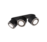 TRIO Plafondlamp TAURUS - Afbeelding 2