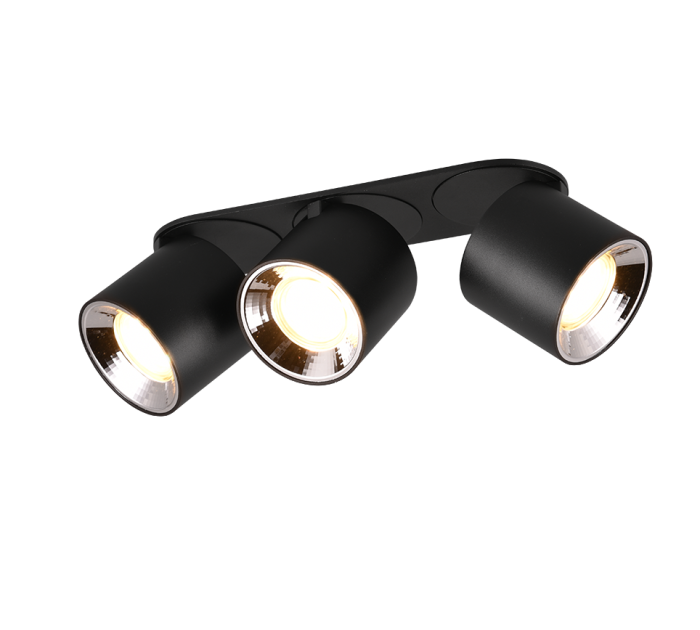 TRIO Plafondlamp GUAYANA - Afbeelding 2
