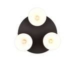TRIO Plafondlamp AGUDO - Afbeelding 2