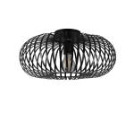 TRIO Plafondlamp JOHANN - Afbeelding 3