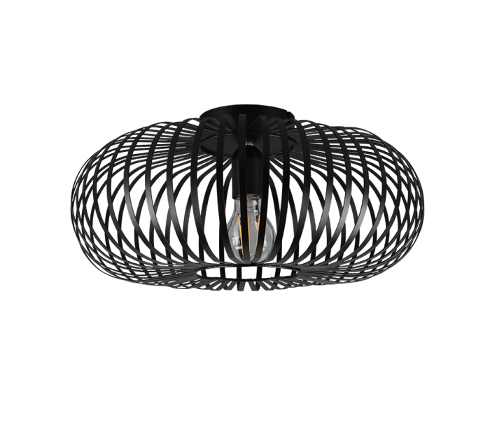 TRIO Plafondlamp JOHANN - Afbeelding 3