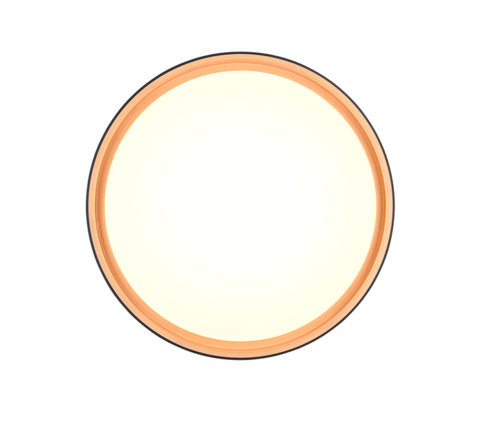 Realiteit, Plafondlamp, FELIS - Afbeelding 3