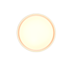 Realiteit, Plafondlamp, Felis - Afbeelding 3