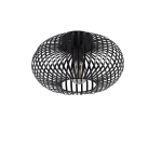 TRIO Plafondlamp JOHANN - Afbeelding 3
