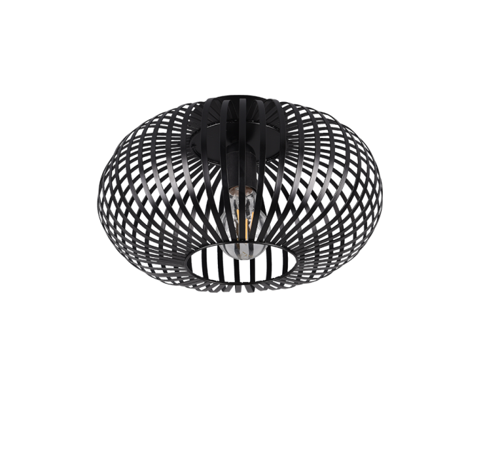 TRIO Plafondlamp JOHANN - Afbeelding 3