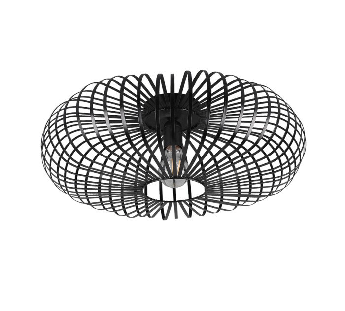 TRIO Plafondlamp JOHANN - Afbeelding 3