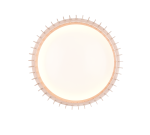 Realiteit, Plafondlamp, Monte - Afbeelding 3