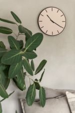 Donker eiken poeder - Afbeelding 4