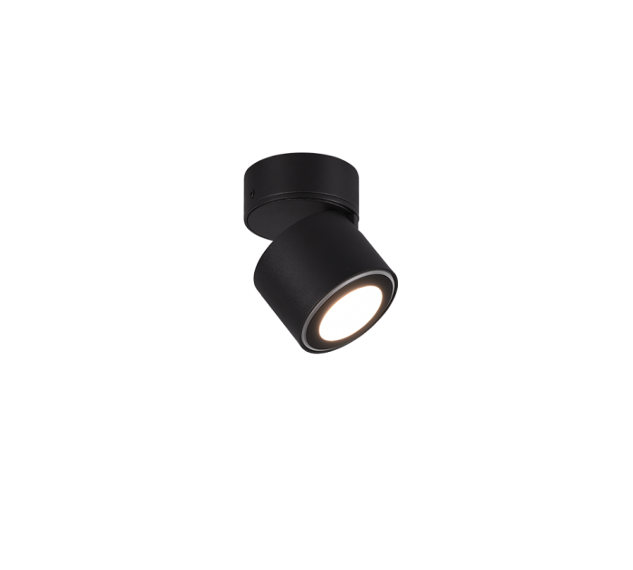 TRIO Plafondlamp TAURUS - Afbeelding 4