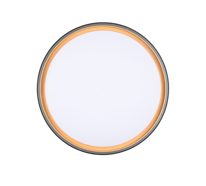 Realiteit, Plafondlamp, FELIS - Afbeelding 4